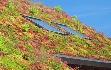 Oxnead living roof systems